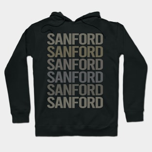 Gray Text Art Sanford Hoodie